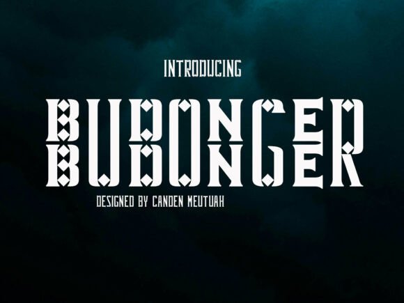 Budonger: The Bold Display Font for Modern Design